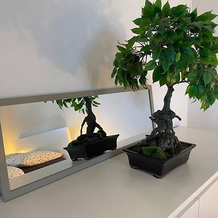 סאן לואיס Magnifique Appartement A La Frontiere Suisse מראה חיצוני תמונה