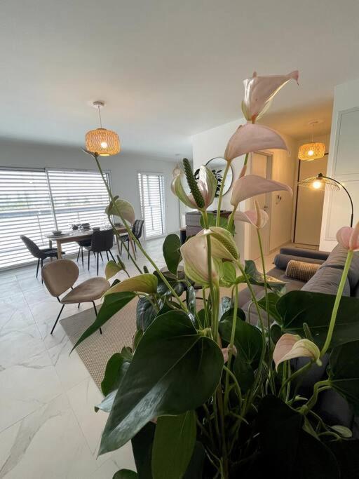 סאן לואיס Magnifique Appartement A La Frontiere Suisse מראה חיצוני תמונה