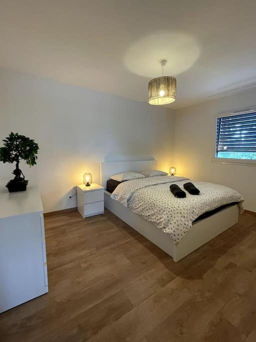 סאן לואיס Magnifique Appartement A La Frontiere Suisse מראה חיצוני תמונה